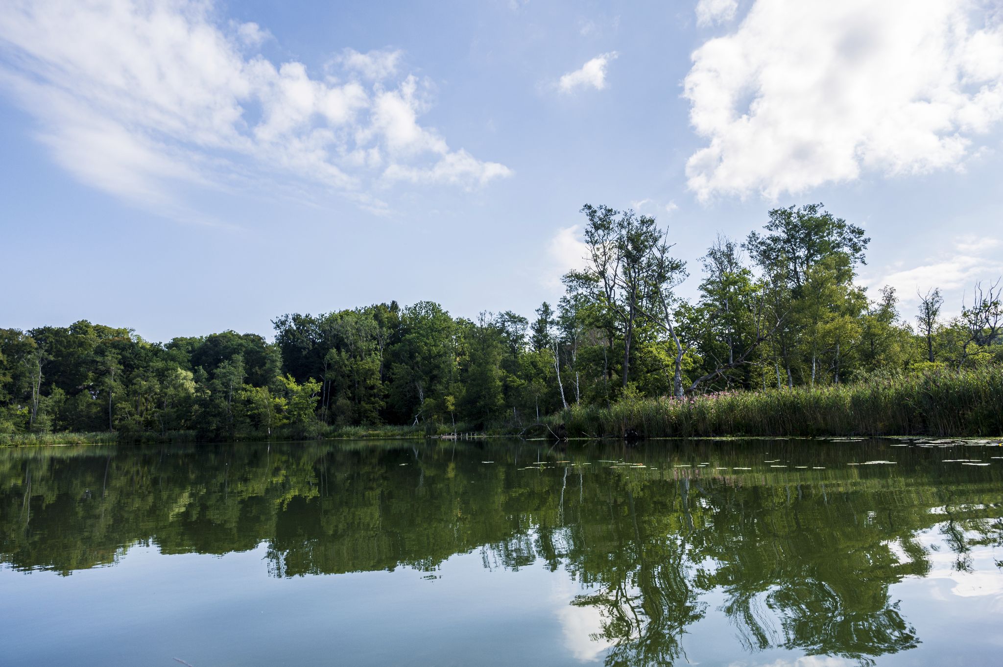 Kajaktour Leutstettner Moos 21.08.2022